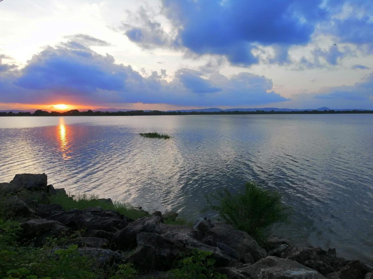 Geethani Tourist Home โปลอนนารูวา ภายนอก รูปภาพ
